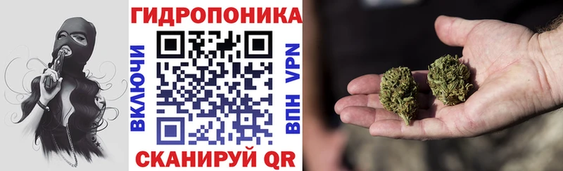 Купить закладку APVP  Кокаин  Меф  Каннабис  Галлюциногенные грибы  ГАШИШ  Теберда