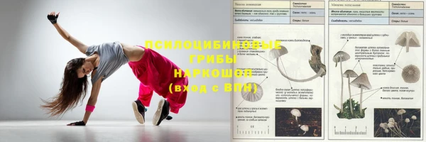 mdma Дмитров