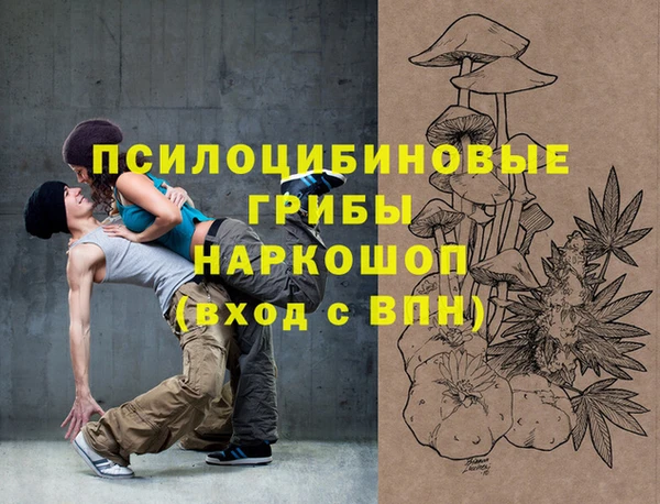 гидра Дмитриев