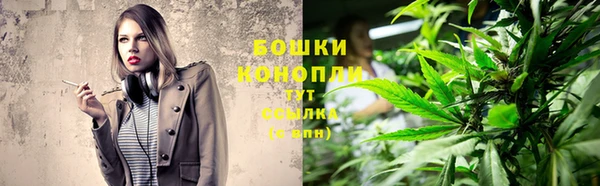гидра Дмитриев