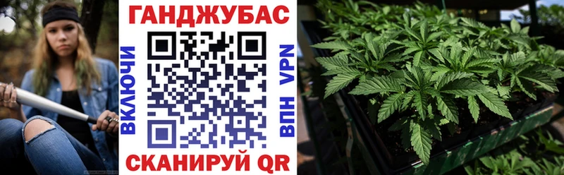 Бошки марихуана план  Купить  Теберда 